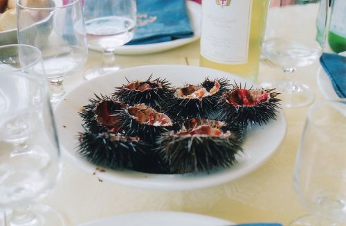 Naturalmente l'aria di mare mette appetito; niente di meglio che una puntatina in ristorante ad assaggiare i ricci. Il periodo pasquale concilia. L'accoglienza cordiale ci fa gustare in tranquillit questa specialit. I ricci ti lasciano in bocca il sapore del mare, del sale e del vento.