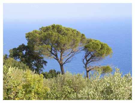 Dal lato mare sulla strada che scende sulla litoranea nei giorni tersi si intravedevano Filicudi ed Alicudi, le isole occidentali dell'arcipelago delle Eolie.